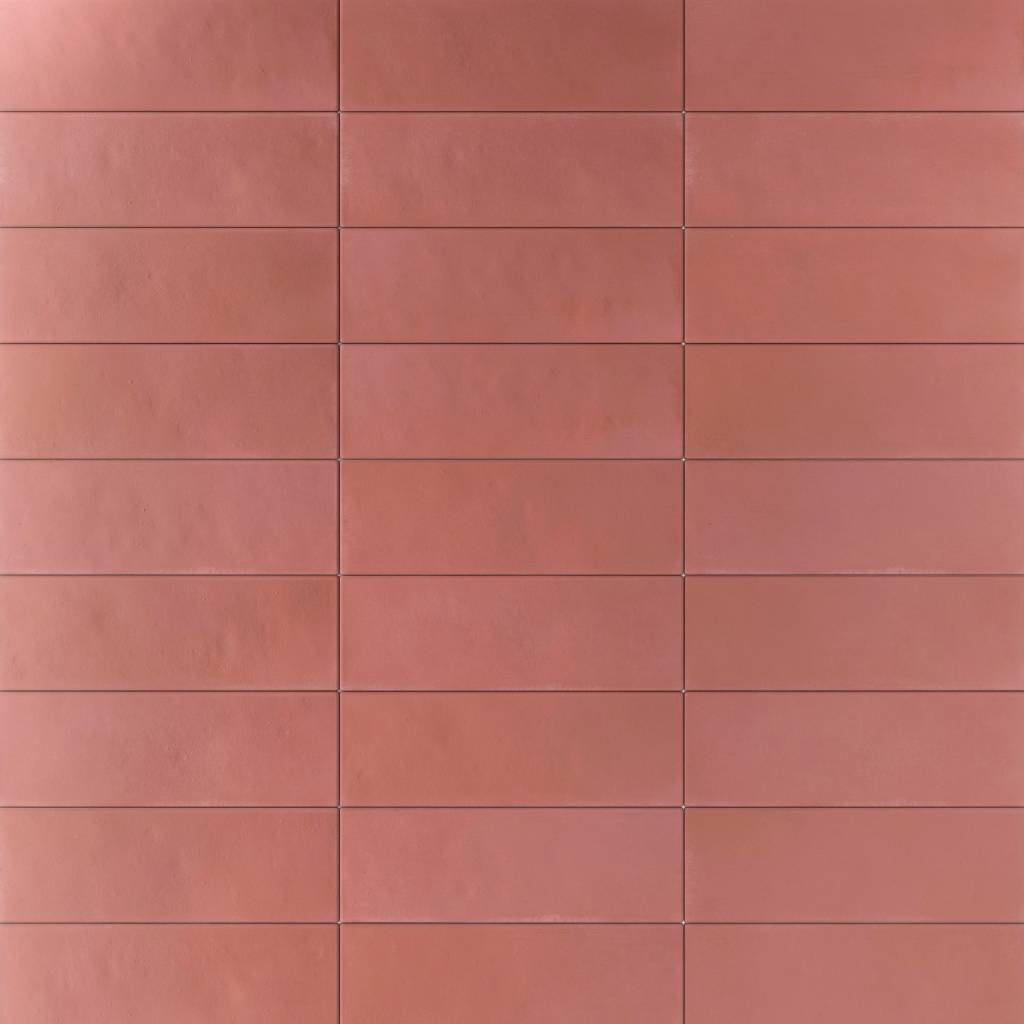 Kuda Coral